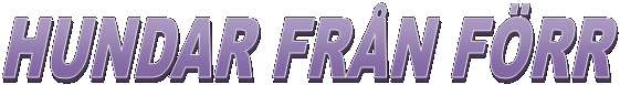 HUNDAR FRN FRR